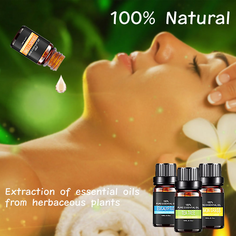 Organic Essential Oil Set